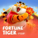 Qual a melhor plataforma do jogo do tigre, confira o site oficial.